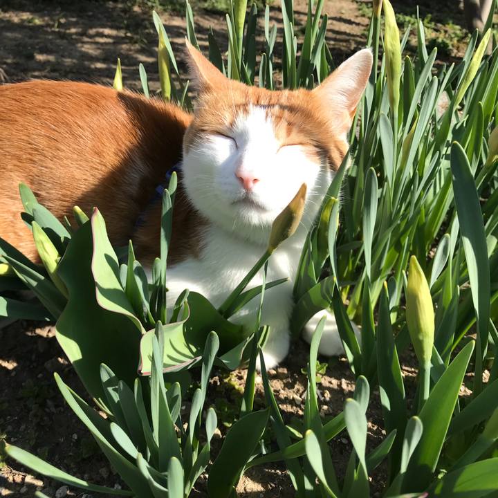 9c4ae783 db28 4cd9 a5cf 8fc77631949c 1522374923625