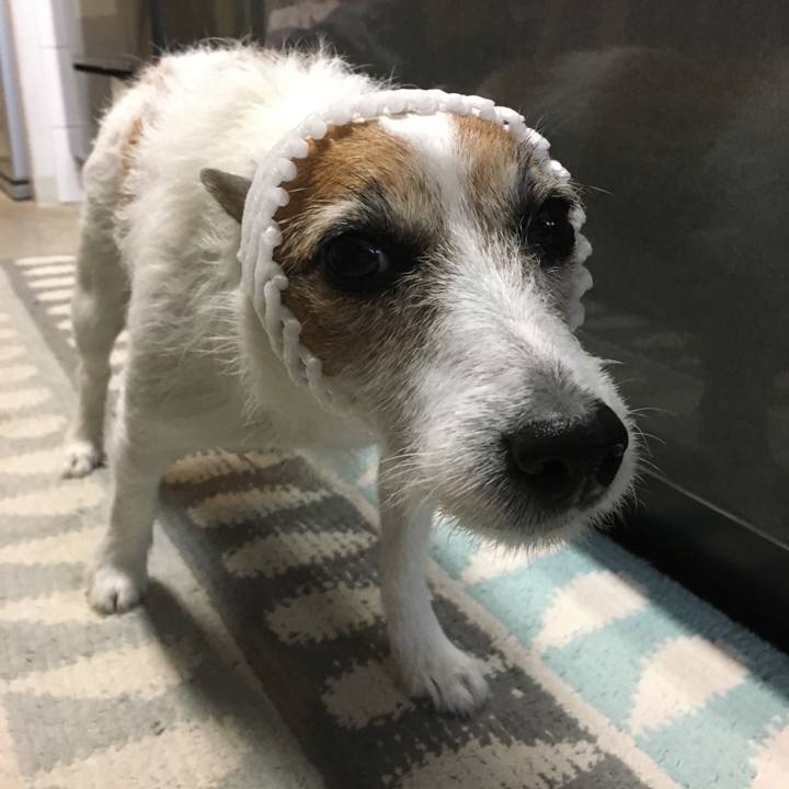 9c4af1ea b4cb 46f9 8684 68c314e35a11 1574811242391