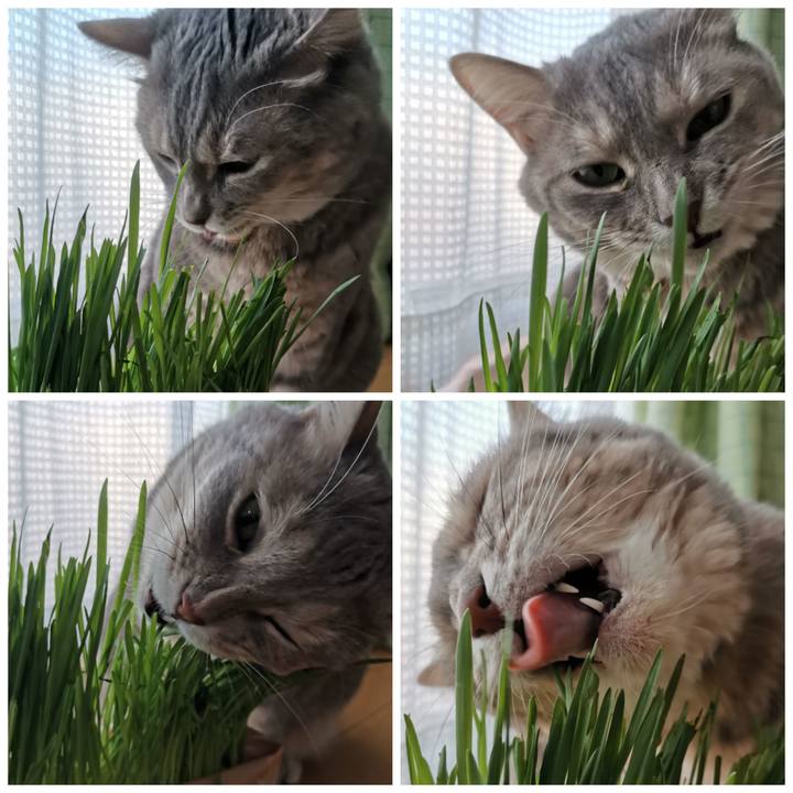 9c4b00a7 ad07 4965 90a6 9fe25452df54 1598658149738