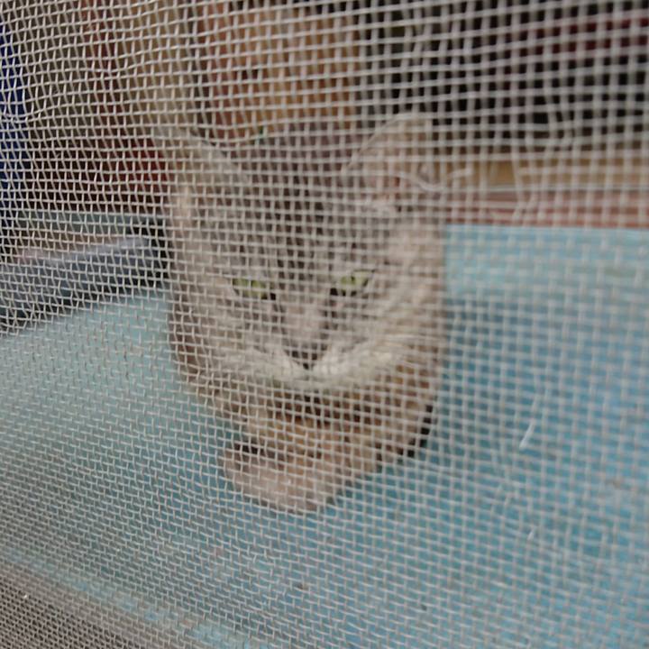 9c4b4a9f 081e 448f 8c10 cc82d47ec089 1567233534103