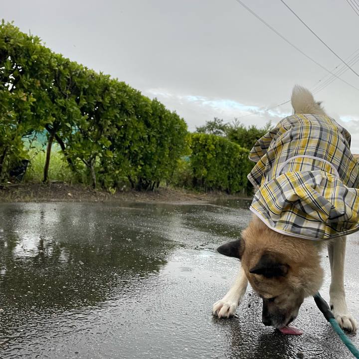 9c4b4ac1 6f99 4769 8ec2 e41229c0dfee 1693915203013