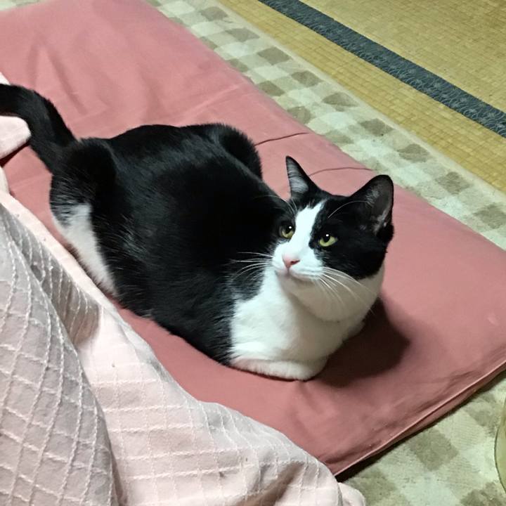 9c4b4ff3 b9af 4c39 b465 cdde40c5bcd4 1644398653419