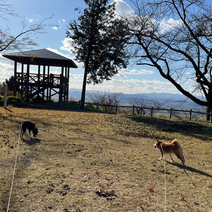 9c4b79ad 8f25 4da3 a705 2ff5bb84791d 1638111718892