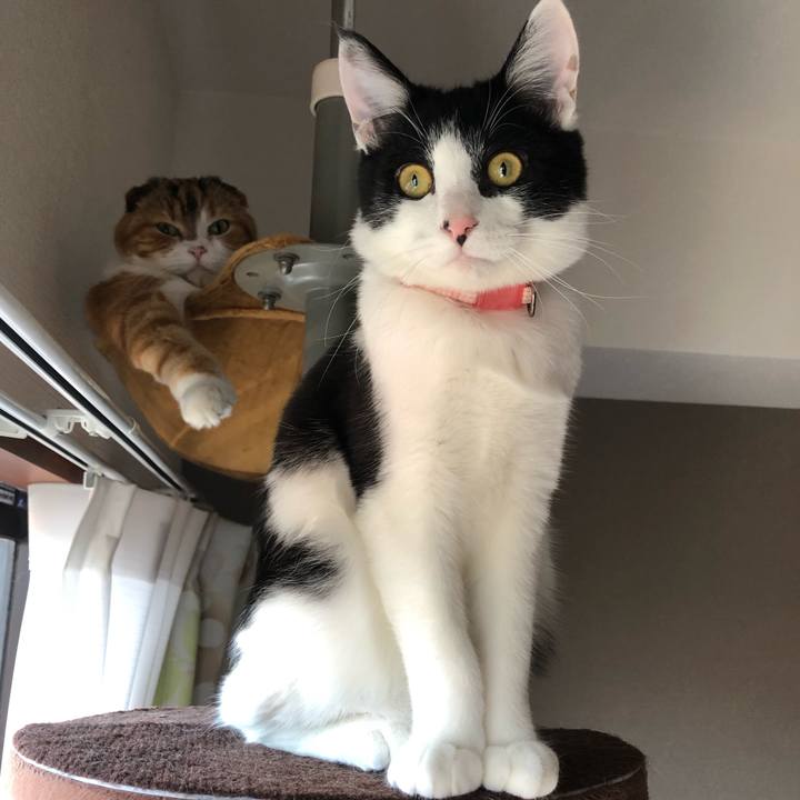 9c4b9a74 d7de 4b48 8598 58c50a86810d 1618028681100