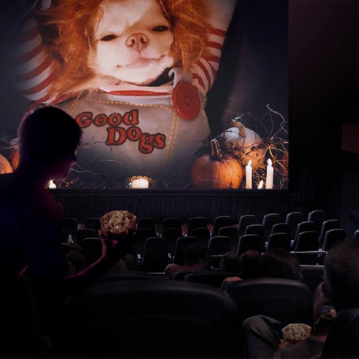 9c4c1ede 9343 4c61 97e6 fe10ed4764c2 1666430716901