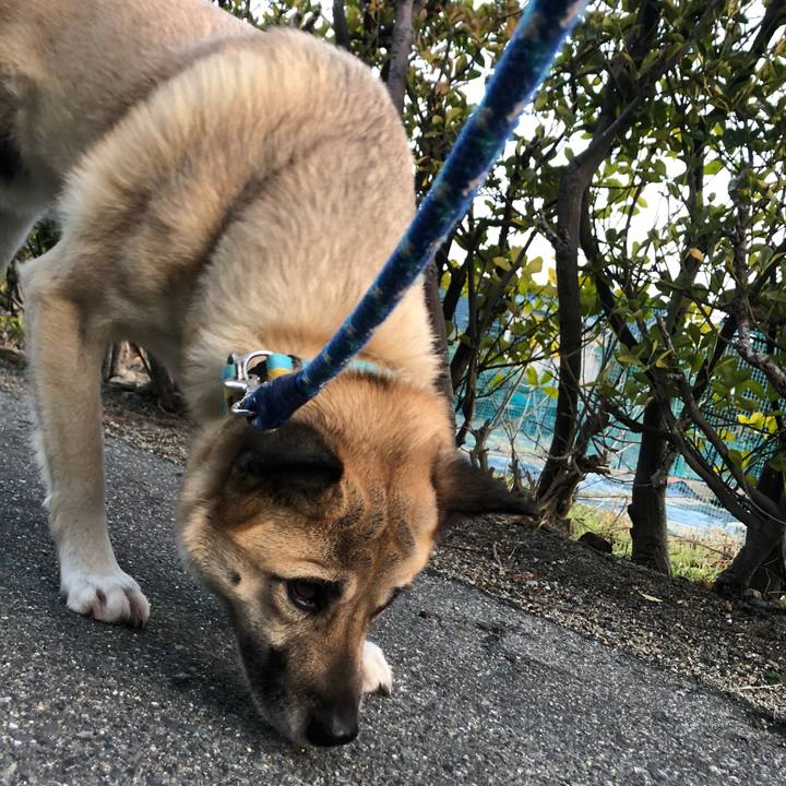 9c4c5c96 f3c5 4e6c 84a5 7f3fdd1d26d8 1612353742226