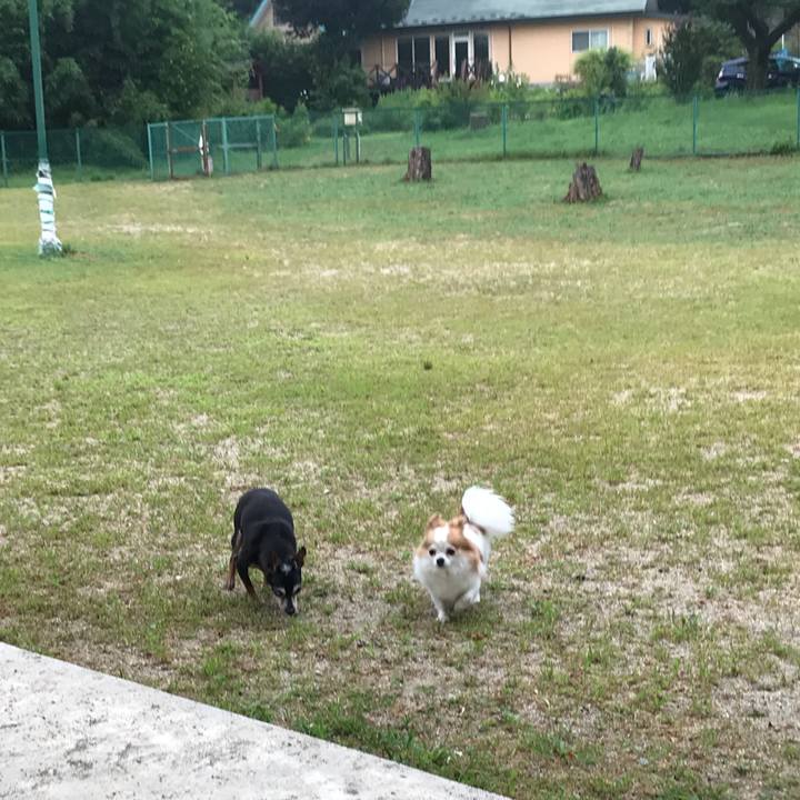 9c4c68c6 44da 454a 91ad 8434432c846a 1566304500506