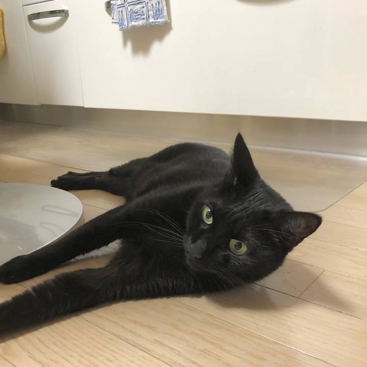 9c4c8b59 dd1e 472c 9152 39fdd4c12950 1616680802248