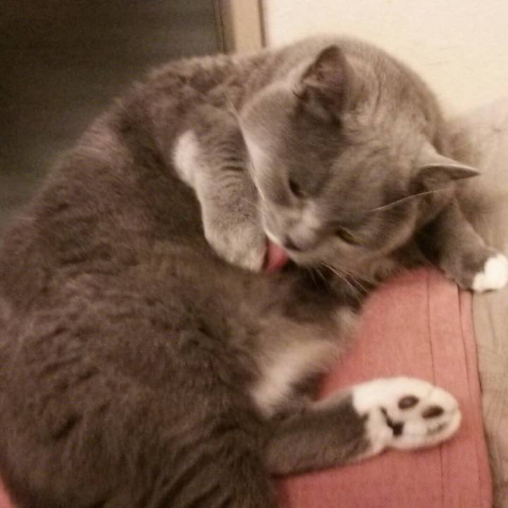 9c4cb061 c89c 47e8 a568 cf92ae192a91 1576468848374