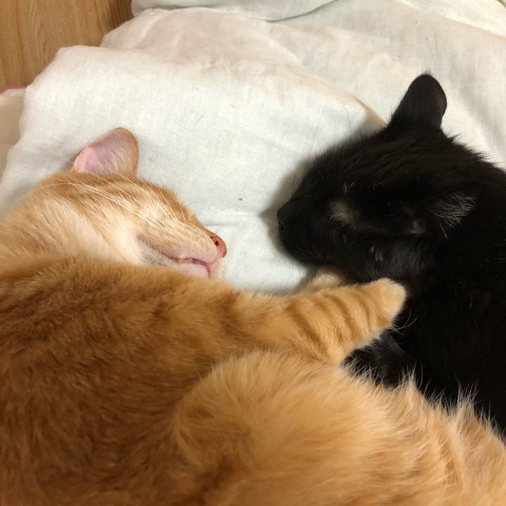 9c4cdca5 f8ab 4d77 8119 f043644d800d 1582572391918