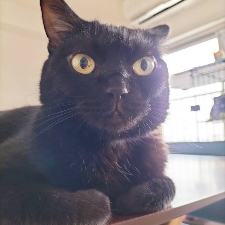 9c4d31dc e990 40d0 aef5 9bce03ccfe29 1694126426159