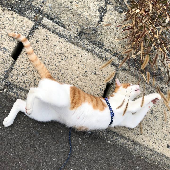 9c4d54be d702 47a1 95f8 4b907427e513 1539929242136