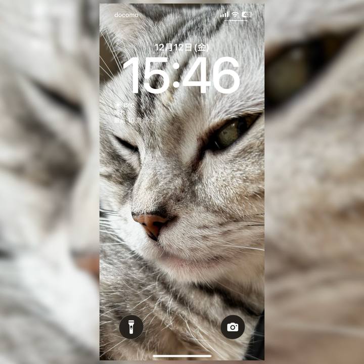 9c4d5d08 3302 451a b6a8 064f9e4c6df1 1765522126602