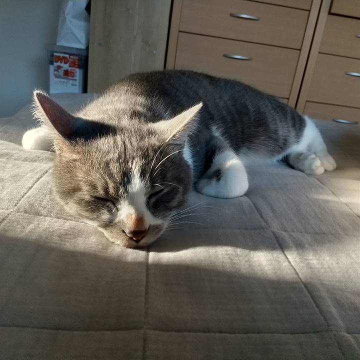 9c4d7262 158e 4550 bd3f de10fca759e6 1601592468109