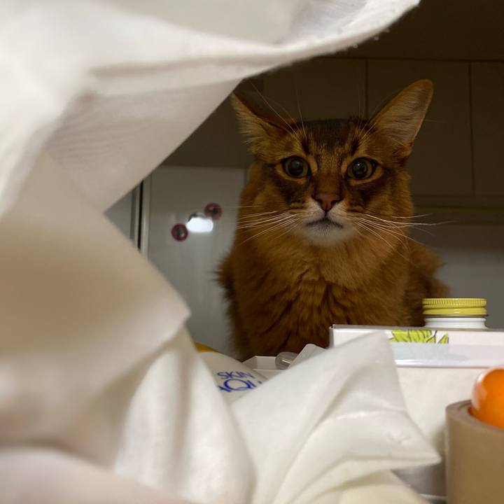 9c4daeb6 fe94 460e 97a9 301c172300dc 1669986568301