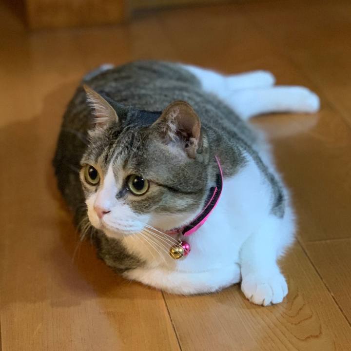 9c4db024 002a 470e ae1d 62c99ca95b79 1628482163172