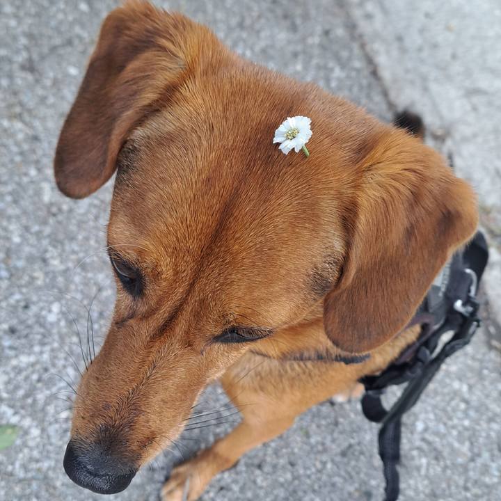 9c4ddf1d ddb8 4aa7 a43e dca6cc227eae 1761858122423