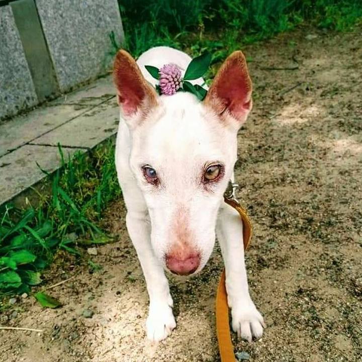 9c4de8dc e48d 4639 9159 3c143a4eec44 1622273261772