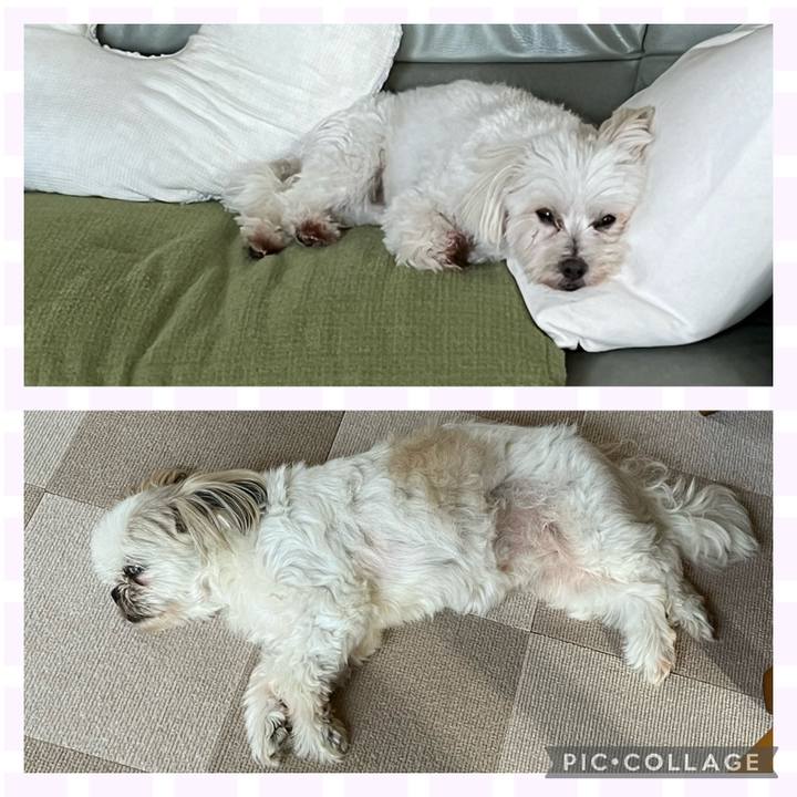 9c4e2655 4797 4be9 b4db c95730368fb2 1690930309642