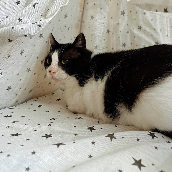 9c4e2cda 5459 43eb 9df8 899646931ccc 1640476075907