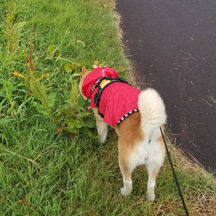 9c4e3208 0636 4a9e ba6f afc610af7db1 1692257812244