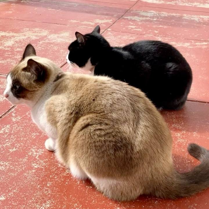 9c4e4576 5406 4160 a6d1 7f1c4c7f18aa 1740103617681