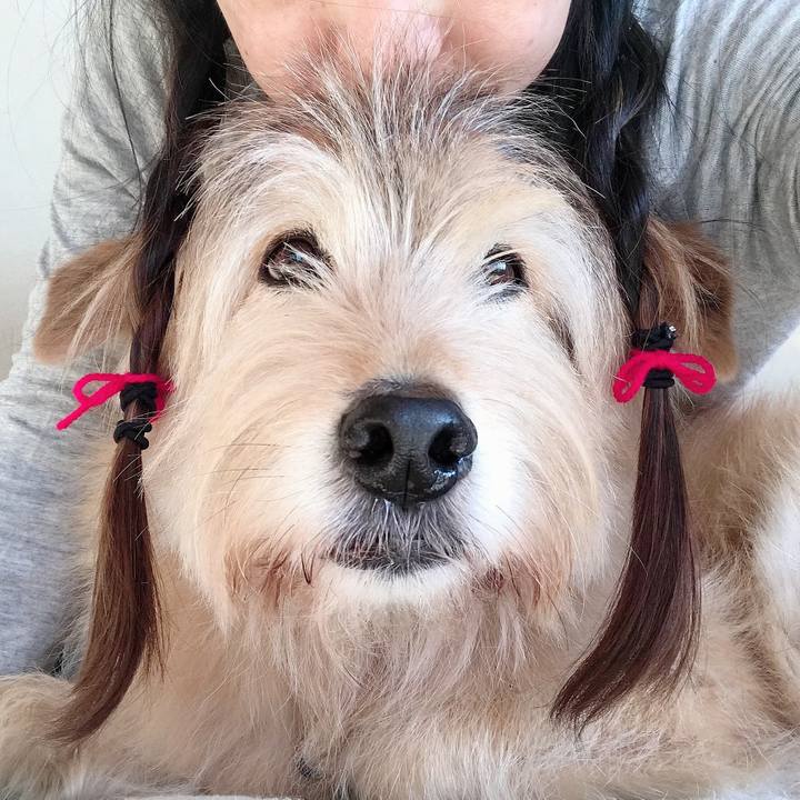 9c4e4a31 d7bc 4126 b29e 1a15c772798f 1614728829264