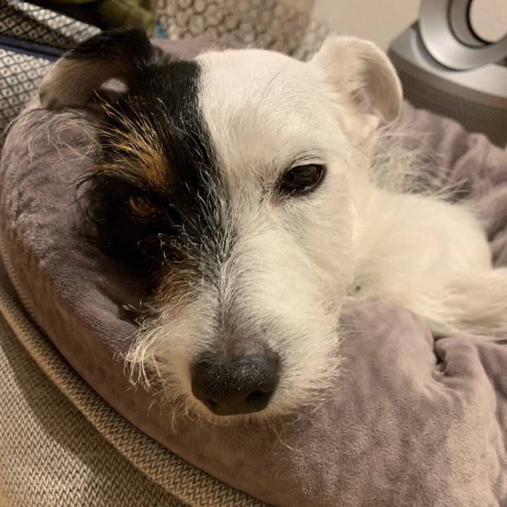 9c4e526a 1dfe 44dc 9265 5e67bd60fd64 1607346981057