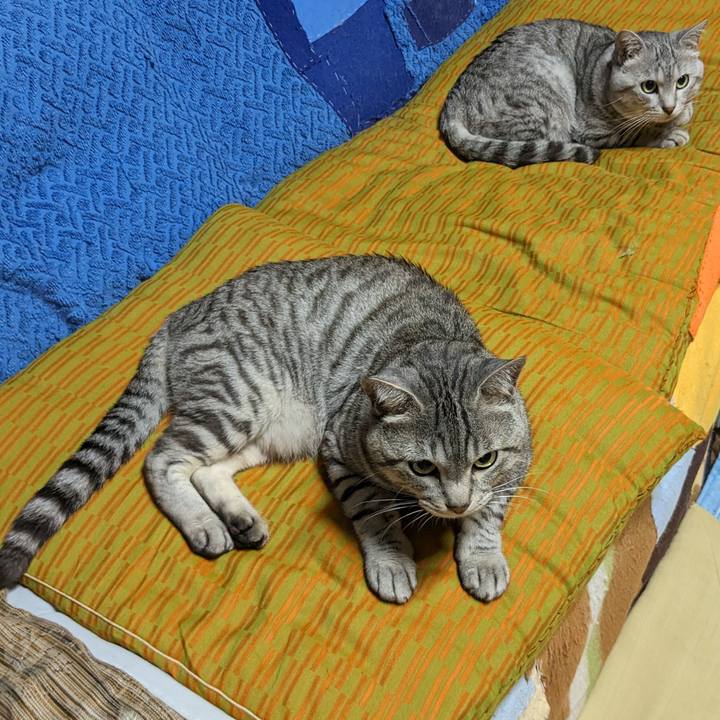 9c4e92c1 063b 46ce b271 109c919b2d05 1693583837623