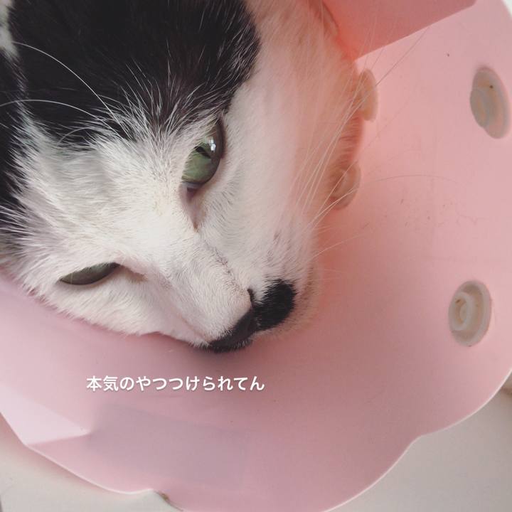 9c4e9368 a735 474e b633 3225afa683e4 1527608420391