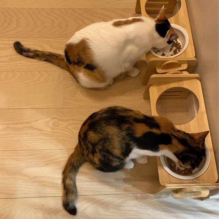 9c4ef088 33c8 43fa a6af d4b6ad401ef7 1774593829055