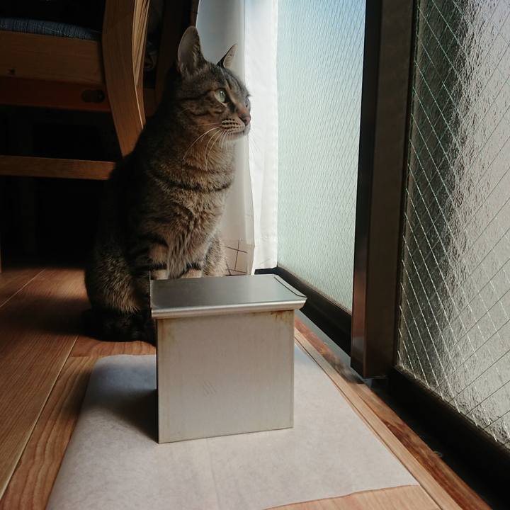 9c4f079e b756 4e90 a69b 52644d906f19 1585962064364