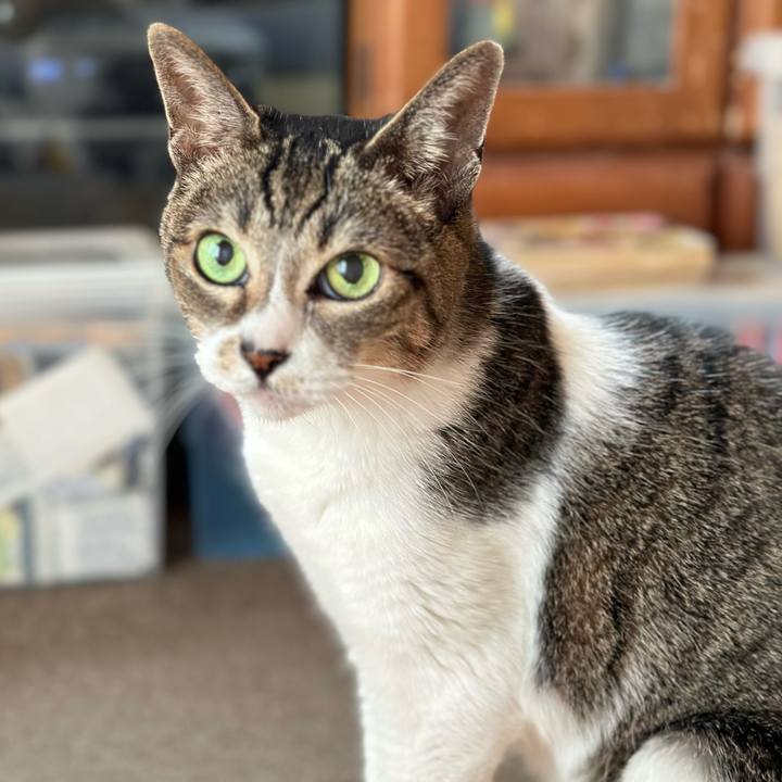 9c4f2847 dcbc 41aa b9ff e76c74ab1a32 1663553165721