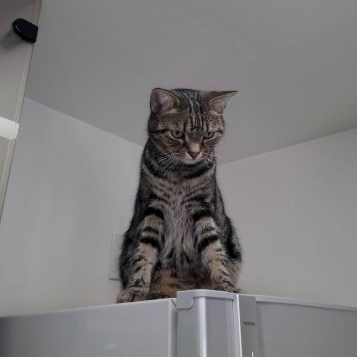 9c4f2cff f1cd 4f36 a199 52aa281606a9 1610592639513