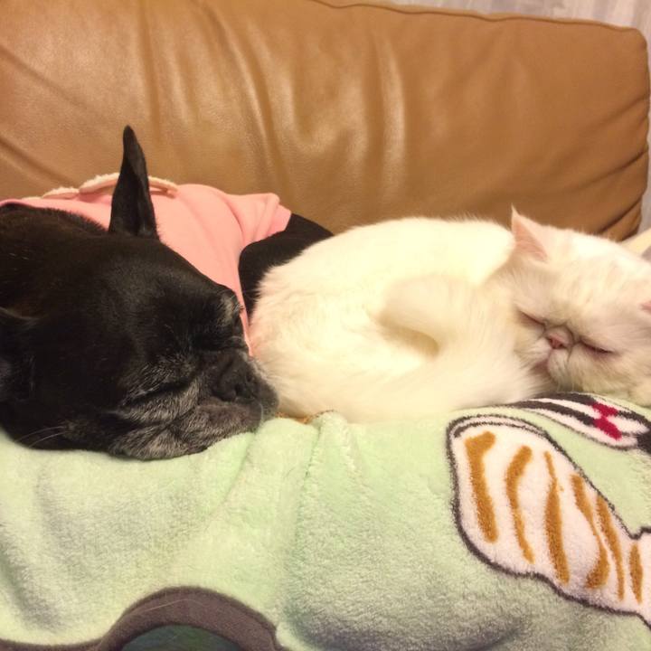 9c4f3aee 3195 48f6 81a2 9c1161638abd 1648559571047