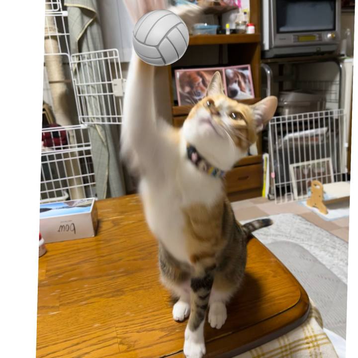 9c4f4414 6ad0 4445 a96a 6768aa4017e1 1673534917589