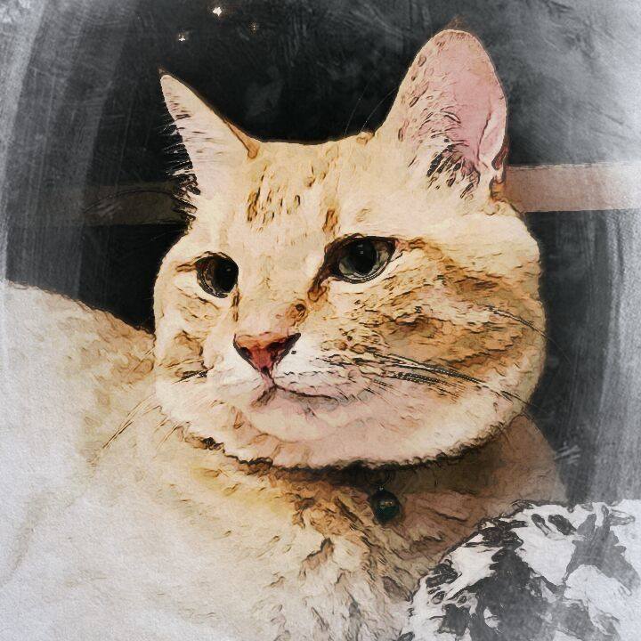 9c4f83a5 c153 41ed b575 44a5e8c54173 1535090895914