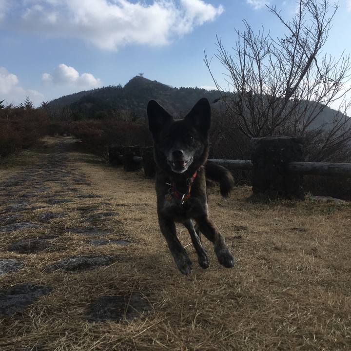 9c4fa5ee 1402 4e24 9441 ded0235f9e1e 1545049995098