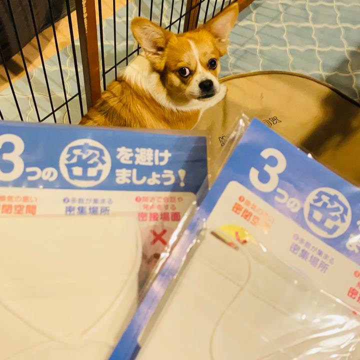 9c4fc01b 81ae 4424 96bd 76789eff81ef 1590404016932