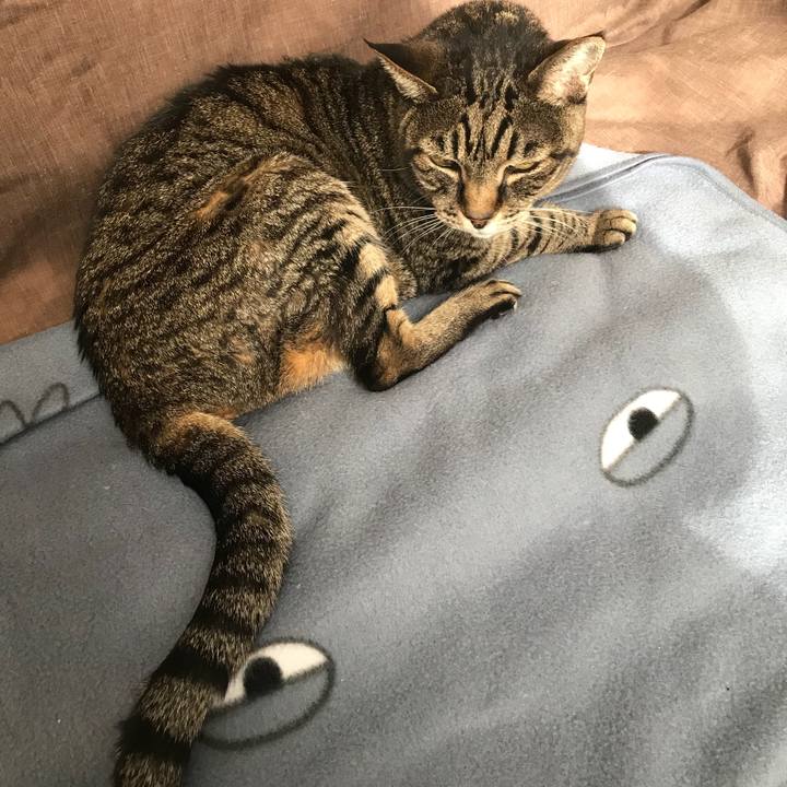 9c504dcd b0df 48c4 b39b 5b329238c507 1515125341347