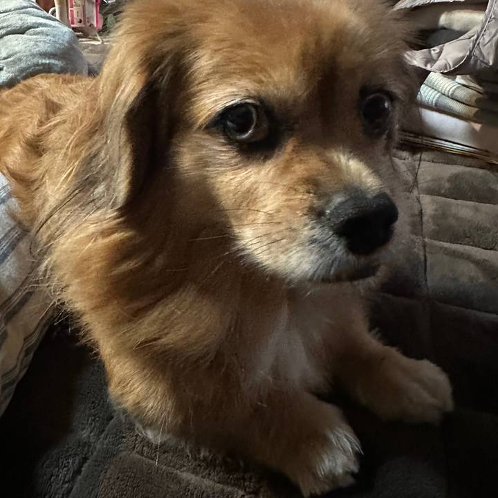 9c512e59 3ccd 4e3e 90a6 e35805c9c665 1731360319117