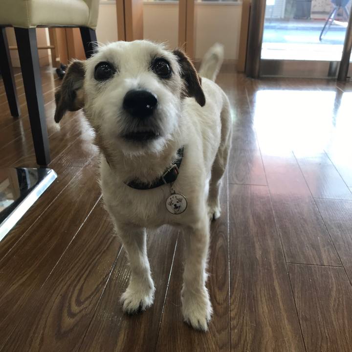 9c514fd2 0293 4f1f 915d 7e3e96152414 1558936533295