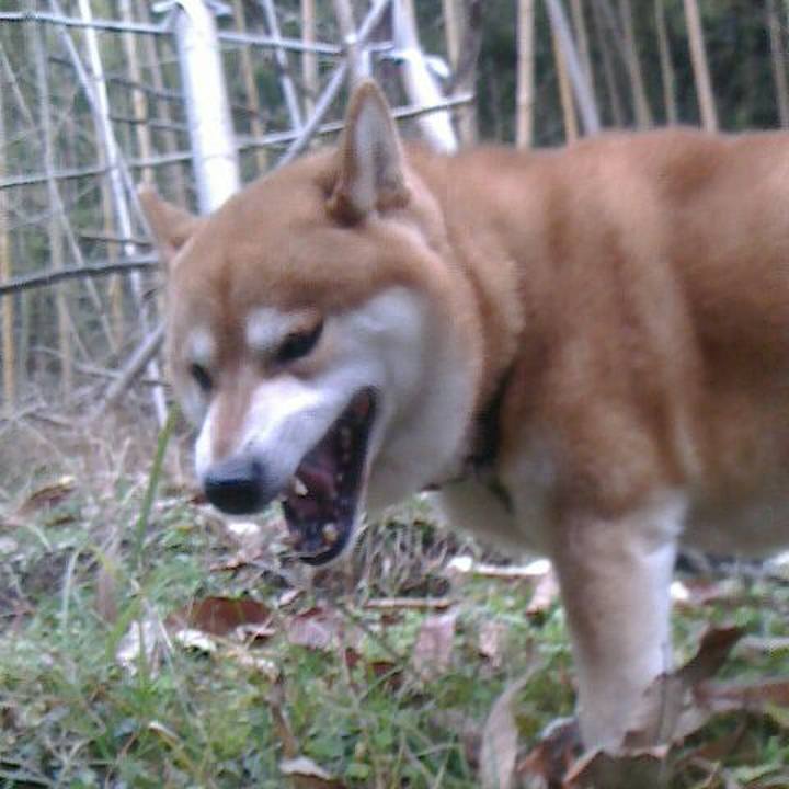 9c51a3af 003d 4937 a3ed add503b6c8b0 1577783252802