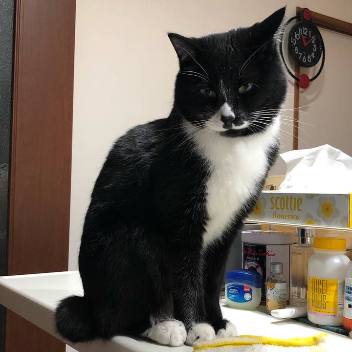 9c51ae86 e90b 4bea af0d cd8507f58928 1613706773102