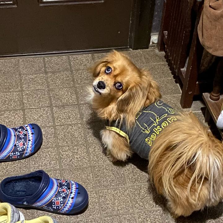 9c51f492 8b0d 4719 83f6 a365e167c2be 1580938593268