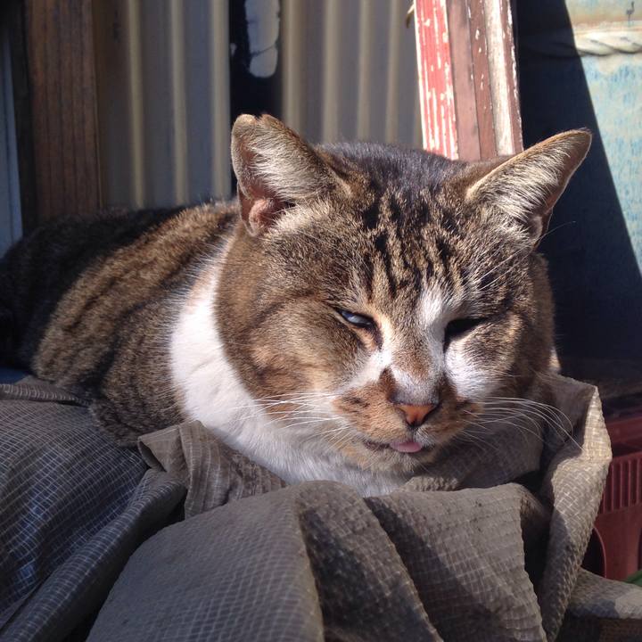 9c525c40 786d 4a88 a9ca 6d95374a3a9b 1513798115061