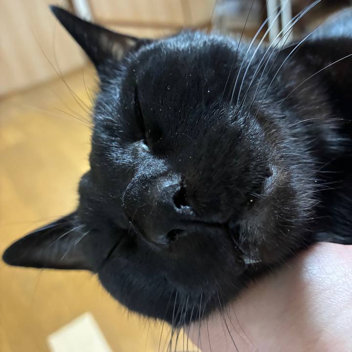 9c5274aa 8928 46f8 9458 ca4e584d4bad 1764404754567