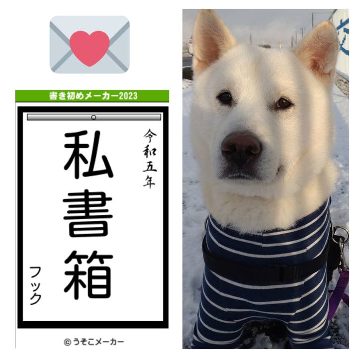 9c52c004 8b05 439f bffe 35b70b468b51 1672660013034