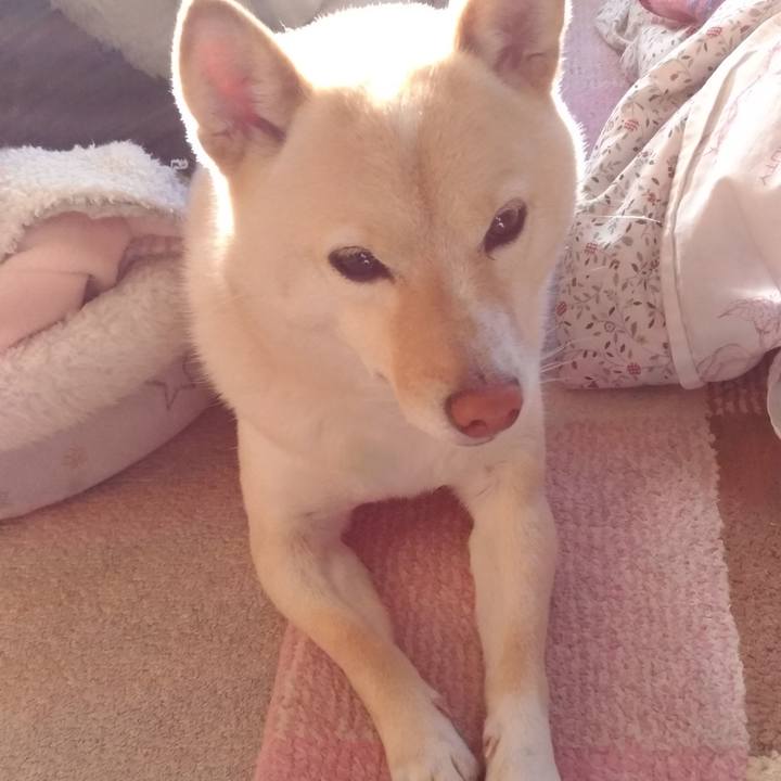 9c52c3dd c84a 4789 8d3f a90a6380bd82 1612827347867