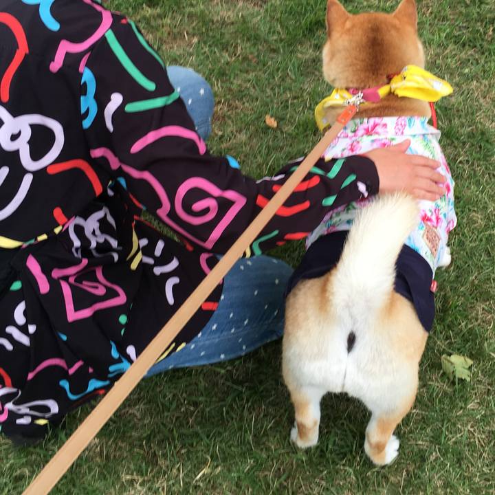 9c52dbe6 63ec 4b44 9553 18f7f87b176e 1569674940260